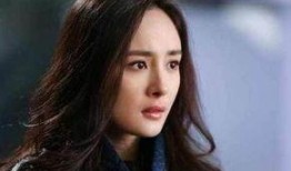 娱乐女明星最新爆料大全,女明星最新爆料大全大起底